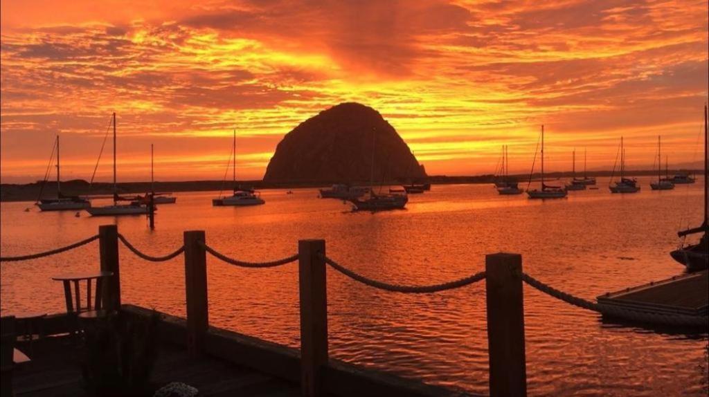 Estero Inn Morro Bay Bagian luar foto