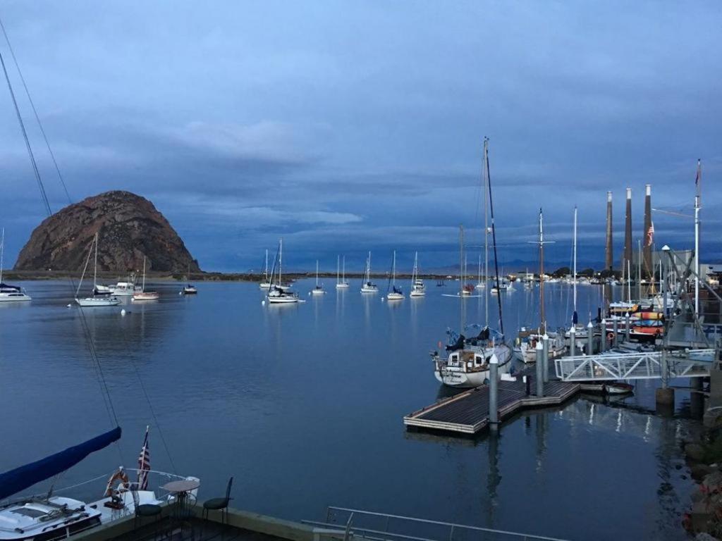 Estero Inn Morro Bay Bagian luar foto